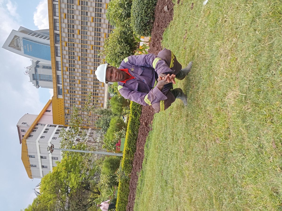 Geofrey optick fiber trenching work 2
