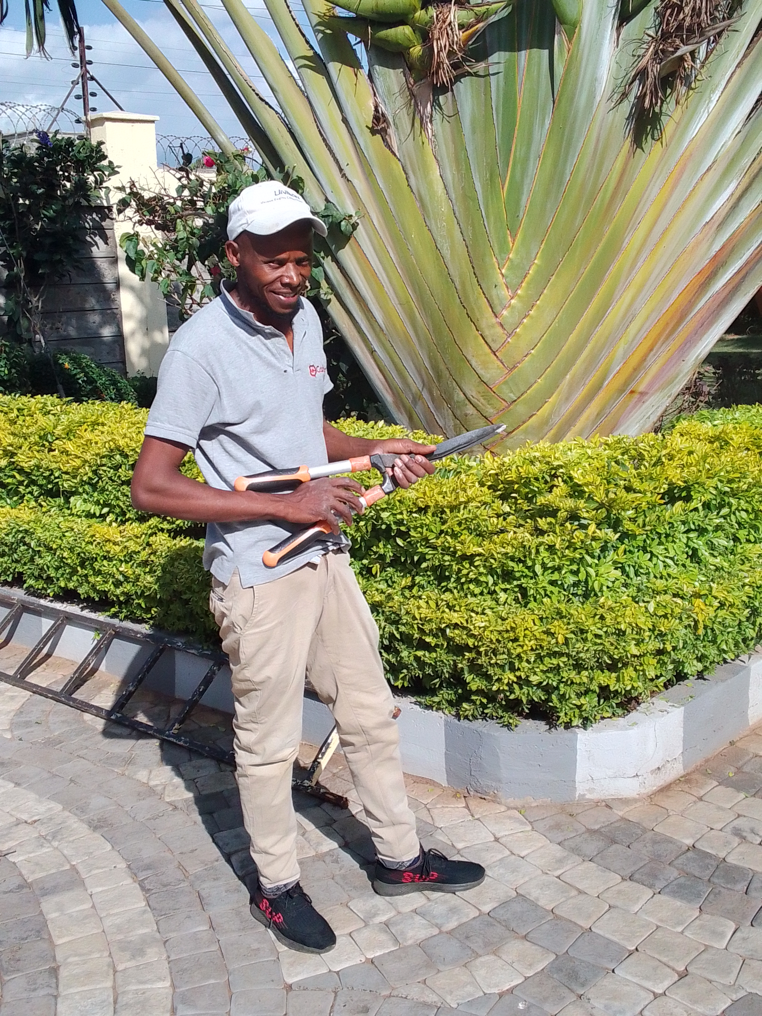 Kamaa Hedge Master work 2