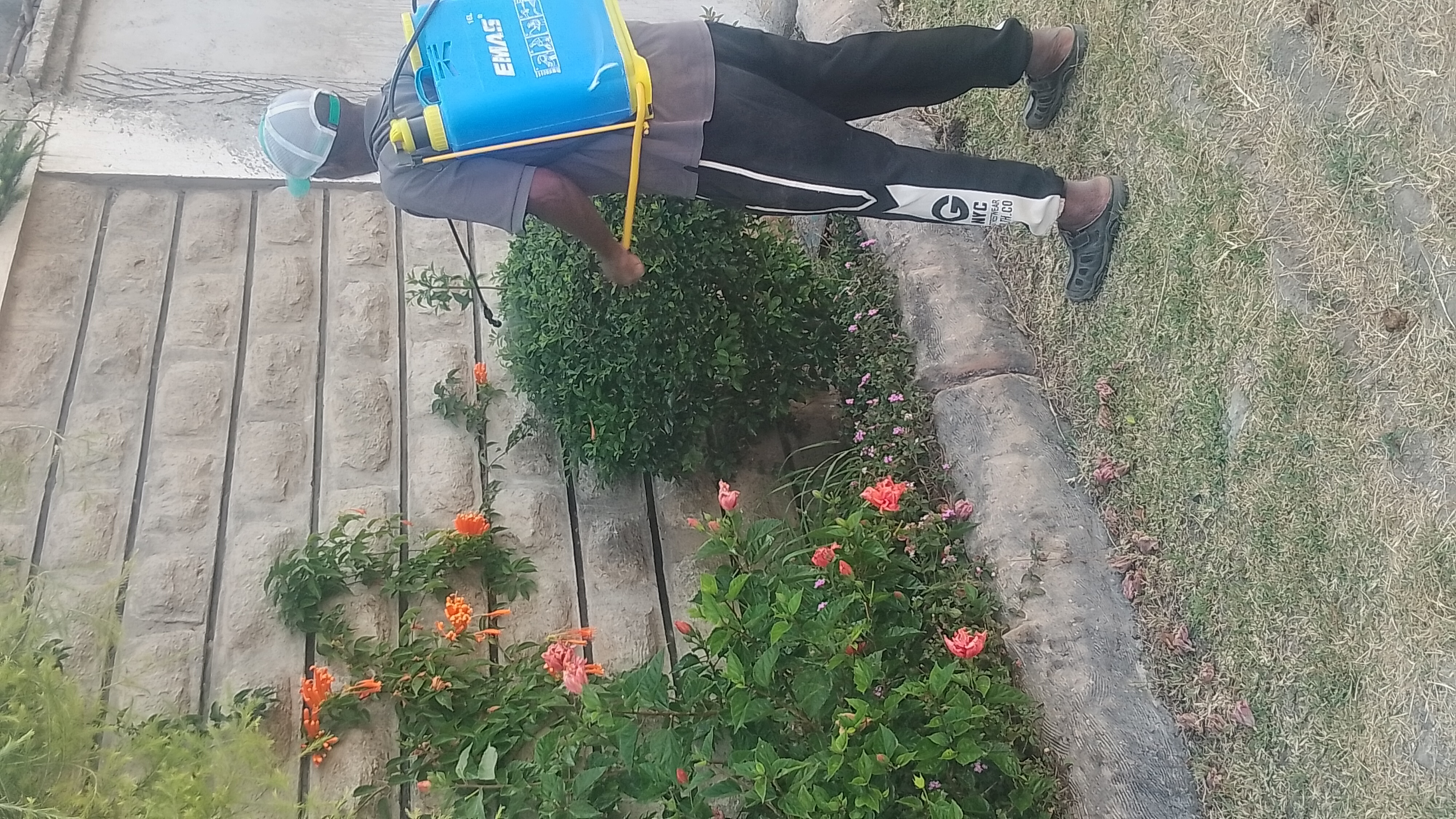 Ben Flower and Crops Spraying Service work 15