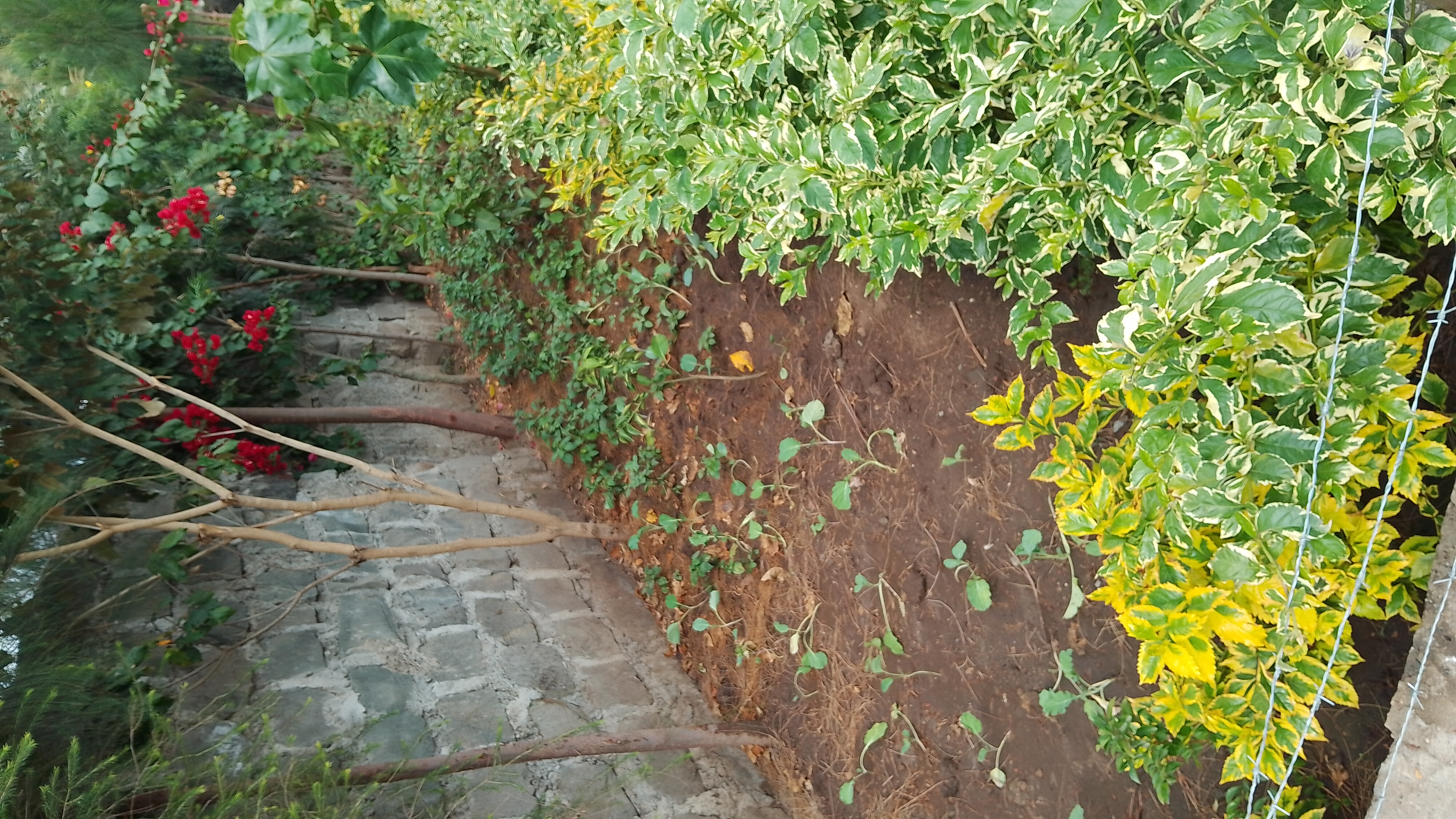 Bonnie Gardening Solutions work 1