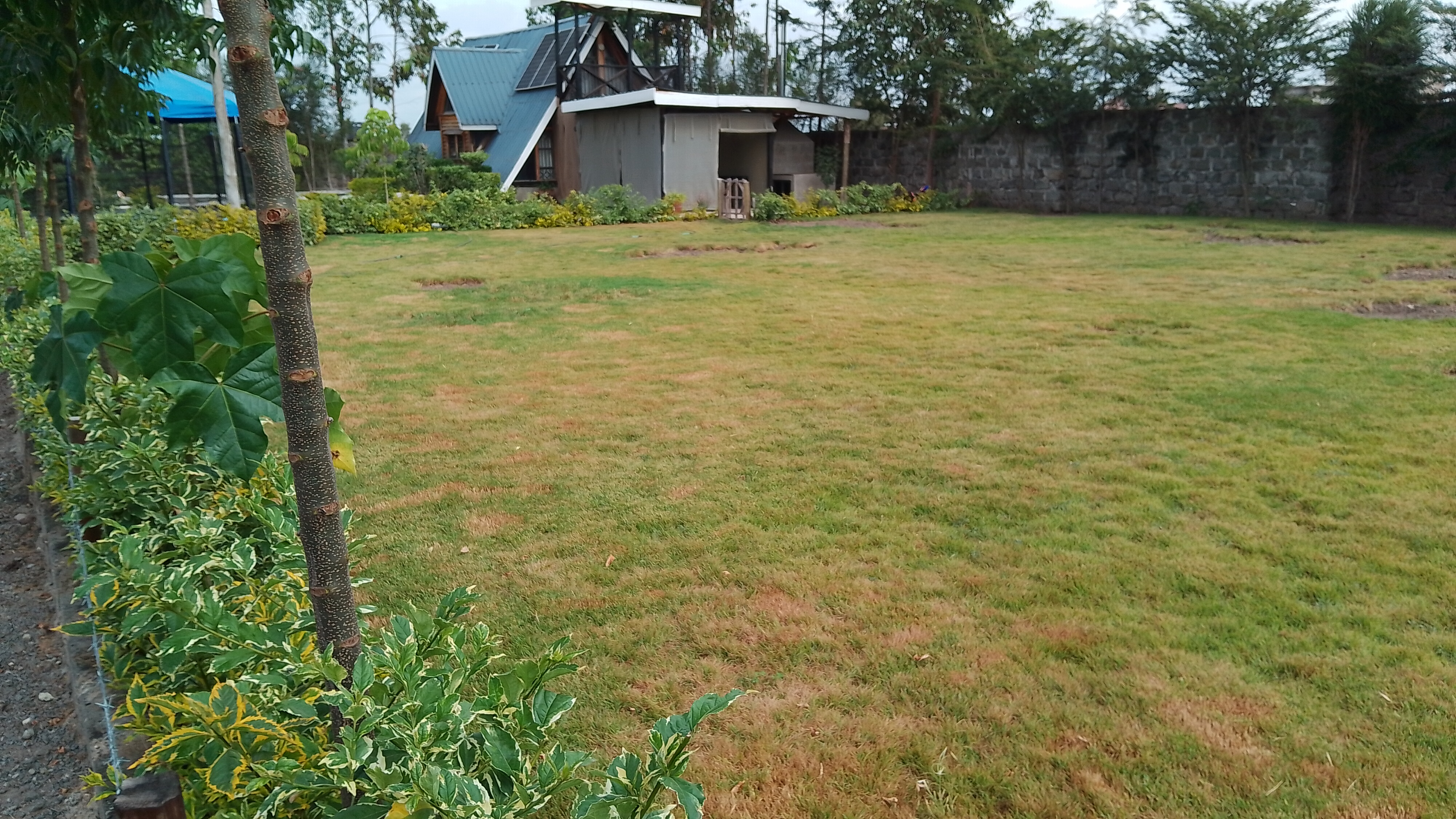 Bonnie Gardening Solutions work 3