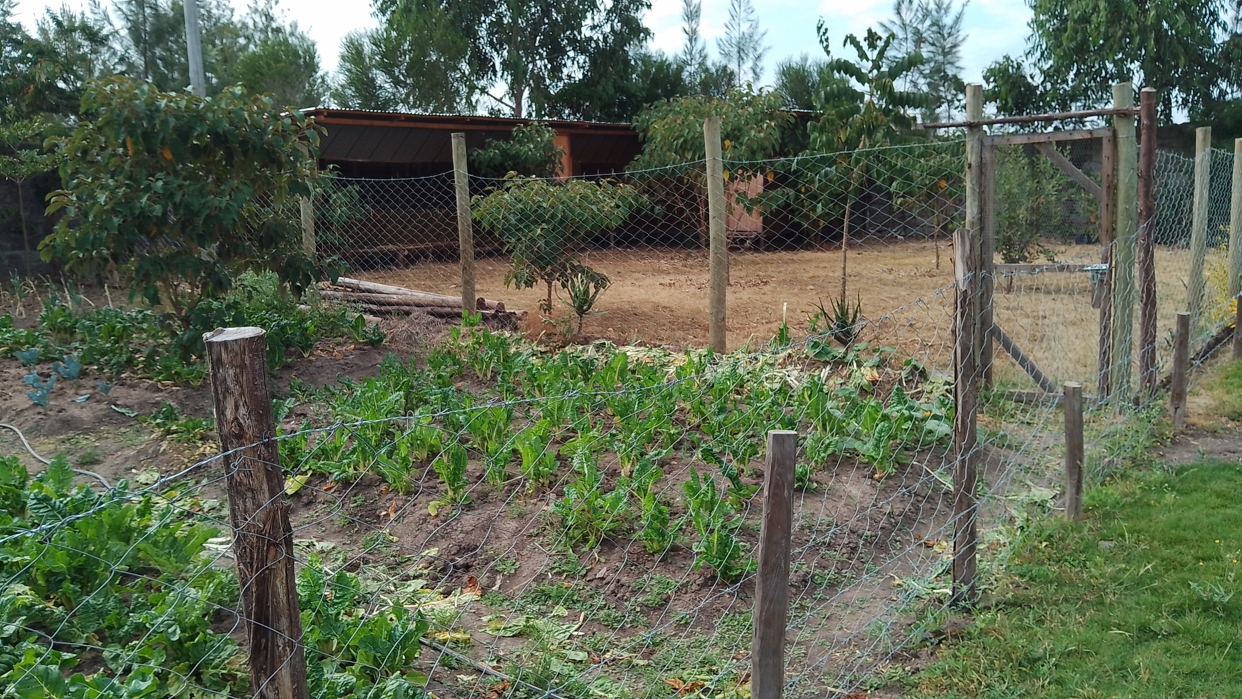 Bonnie Gardening Solutions work 4