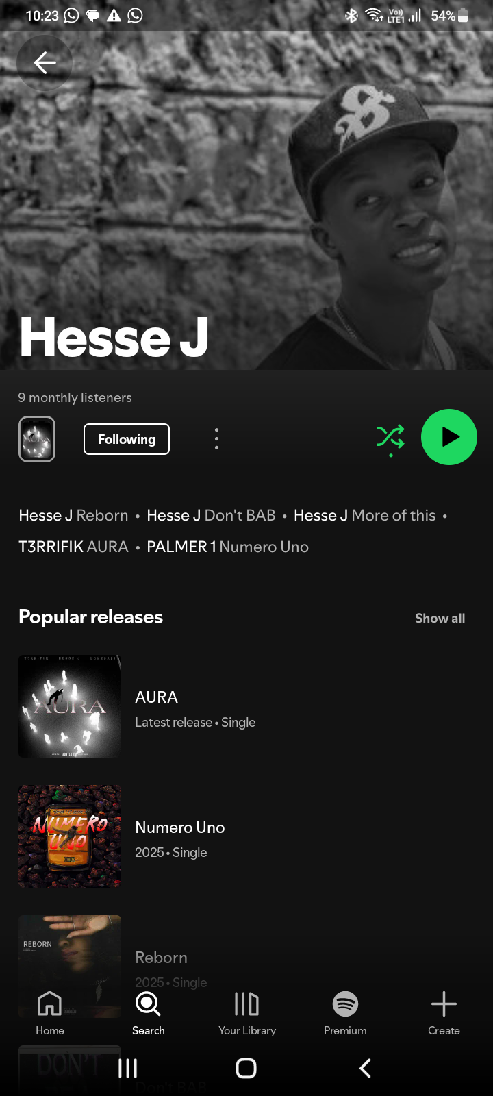 Hesse J Records work 2